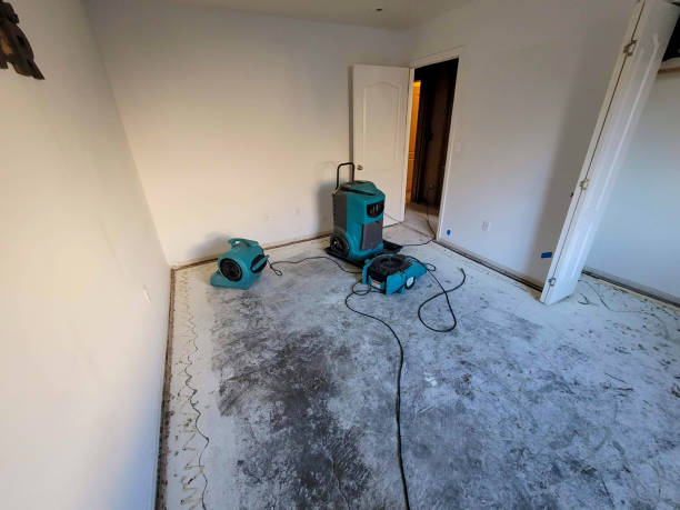 Best Mold removal after water damage  in Fair Oaks, VA