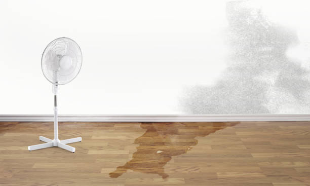 Best Water damage repair service  in Fair Oaks, VA