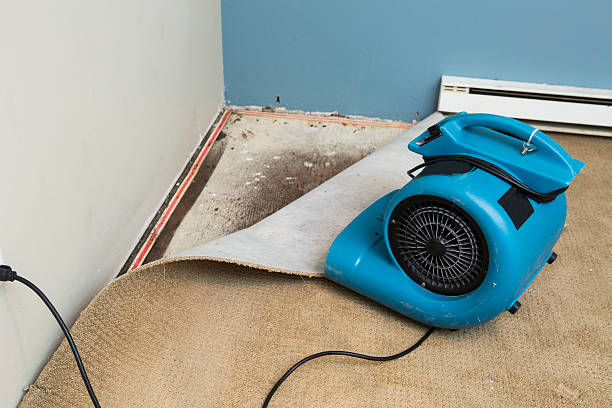 Best Sewage cleanup and water damage restoration  in Fair Oaks, VA